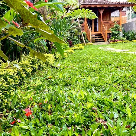 Jane\'S House & Spa Bedugul Bali