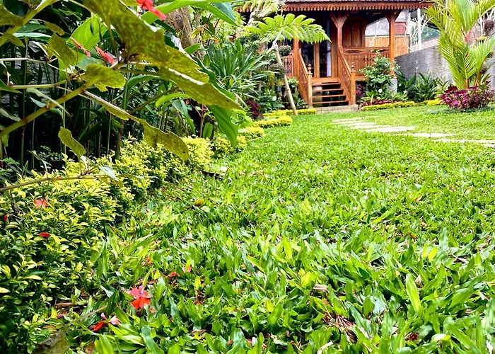 Jane's House & Bedugul Bali ゲストハウス Patjung
